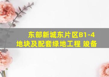 东部新城东片区B1-4地块及配套绿地工程 竣备